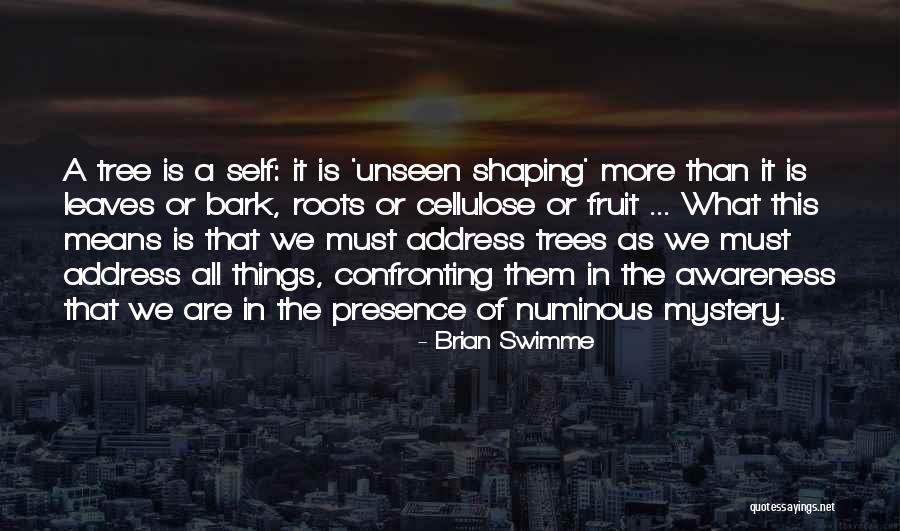 Unseen Things Quotes By Brian Swimme Unseen Things Quotes By Brian Swimme