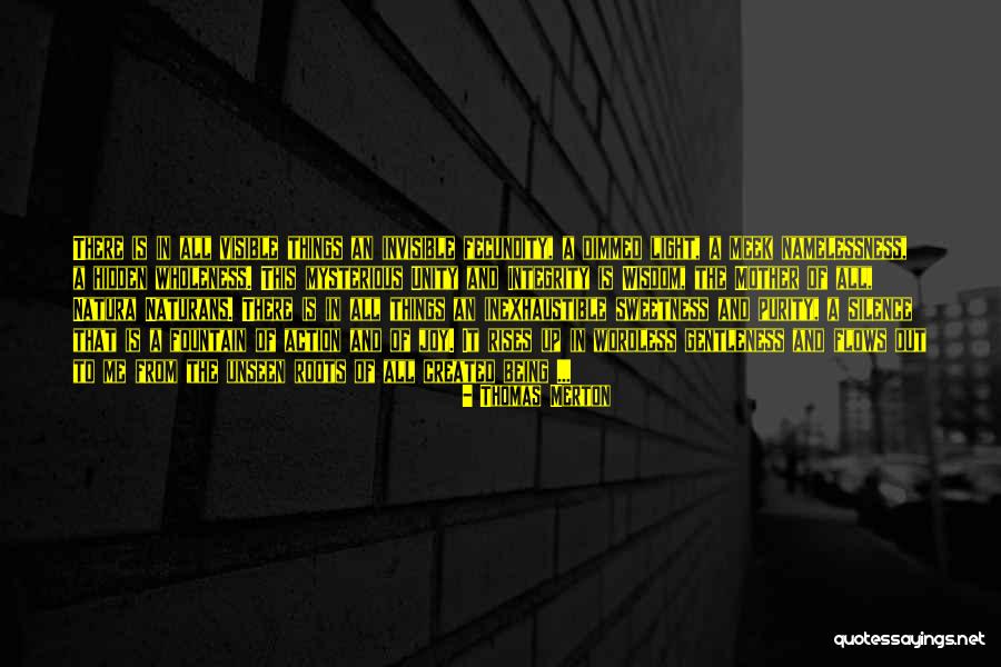 Unseen Things Quotes By Thomas Merton Unseen Things Quotes By Thomas Merton