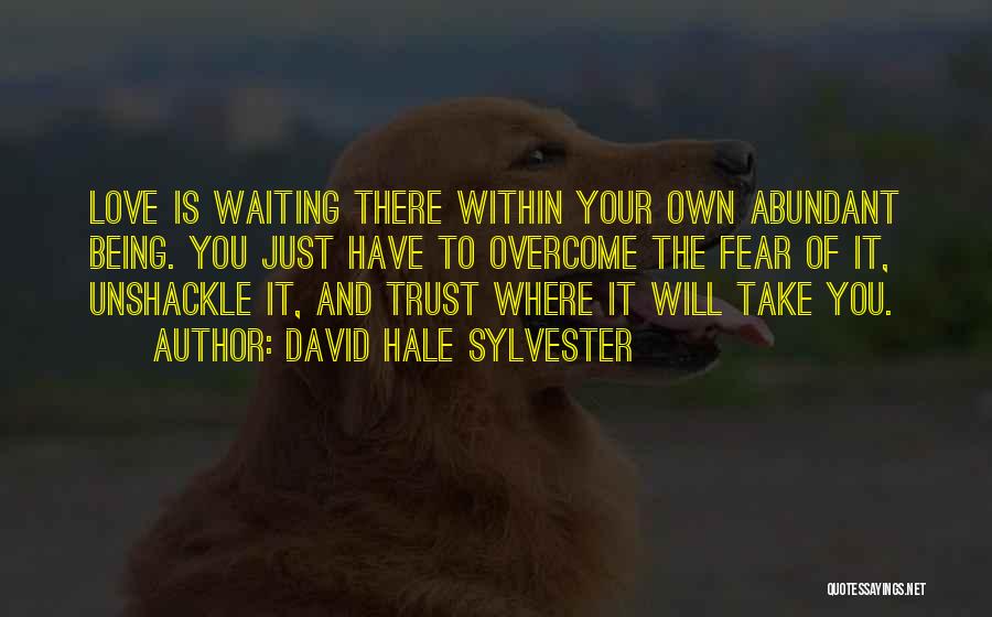 Unshackle Quotes By David Hale Sylvester