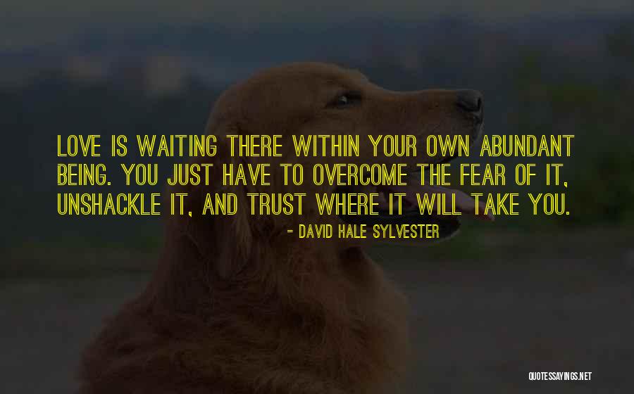 Unshackle Quotes By David Hale Sylvester Unshackle Quotes By David Hale Sylvester