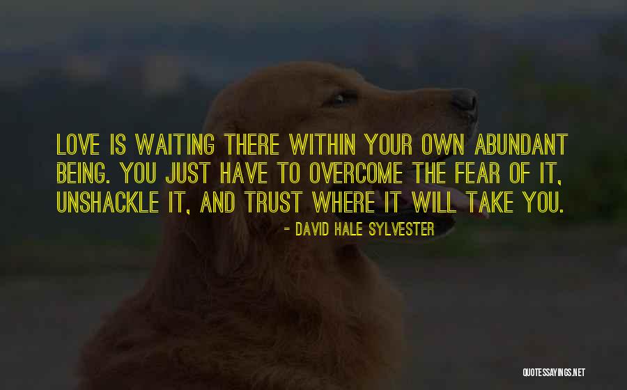 Unshackle Quotes By David Hale Sylvester