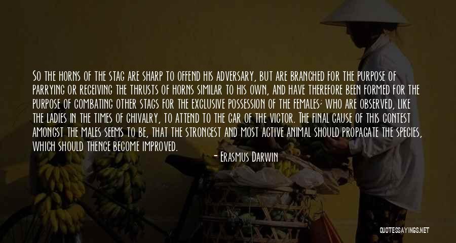 Unshadowed Beer Quotes By Erasmus Darwin Unshadowed Beer Quotes By Erasmus Darwin