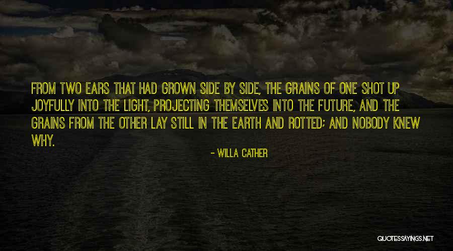 Unskinned Coyote Quotes By Willa Cather Unskinned Coyote Quotes By Willa Cather