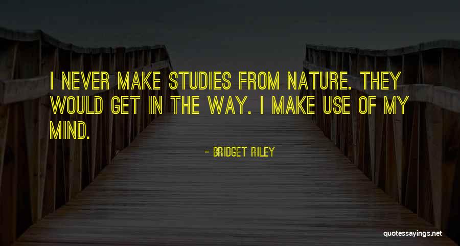 Unsmoteable Quotes By Bridget Riley Unsmoteable Quotes By Bridget Riley