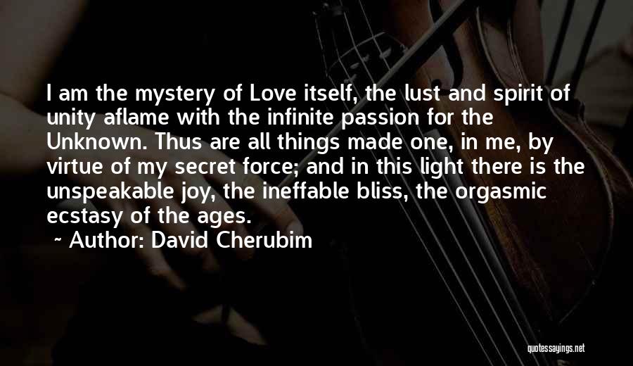 Unspeakable Love Quotes By David Cherubim