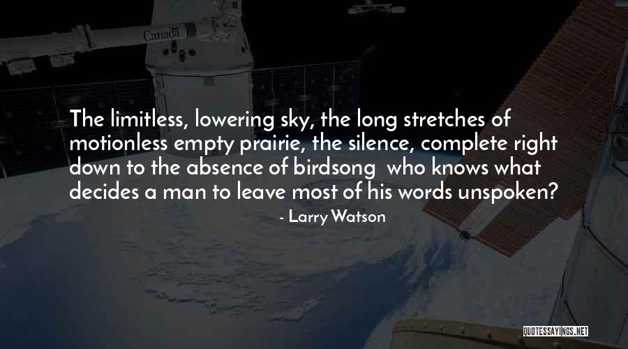 Unspoken Emotions Quotes By Larry Watson