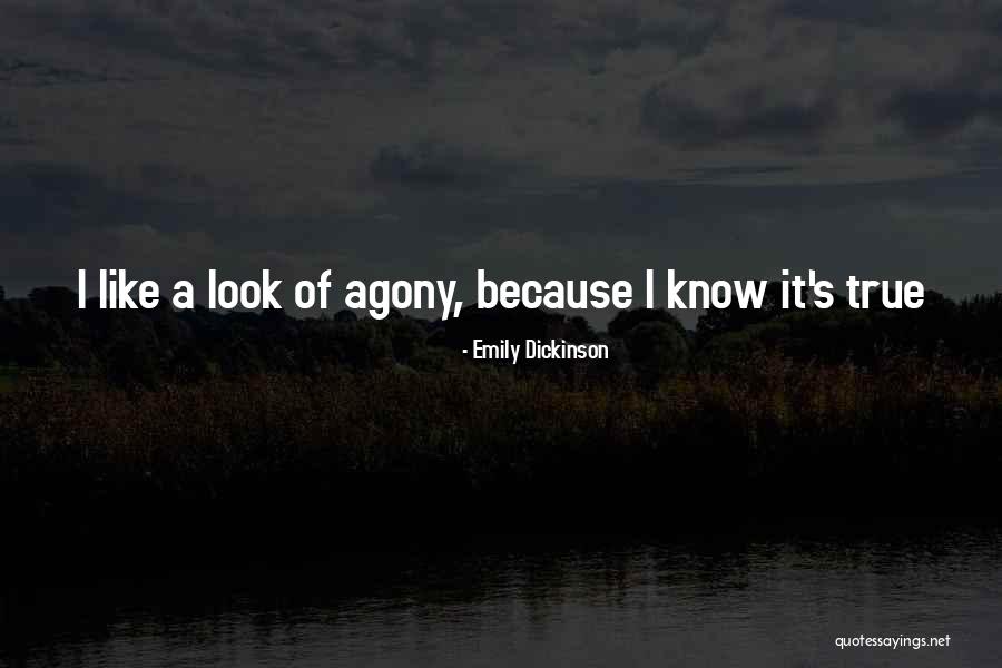 Unspun Quotes By Emily Dickinson Unspun Quotes By Emily Dickinson