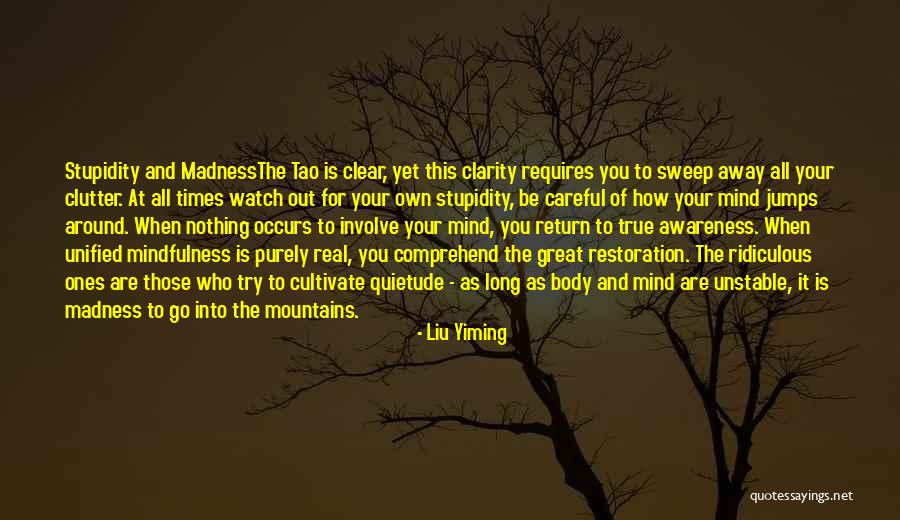 Unstable Mind Quotes By Liu Yiming Unstable Mind Quotes By Liu Yiming