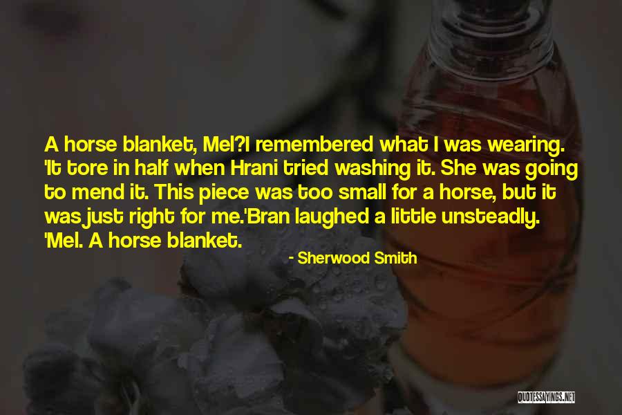 Unsteadly Quotes By Sherwood Smith Unsteadly Quotes By Sherwood Smith