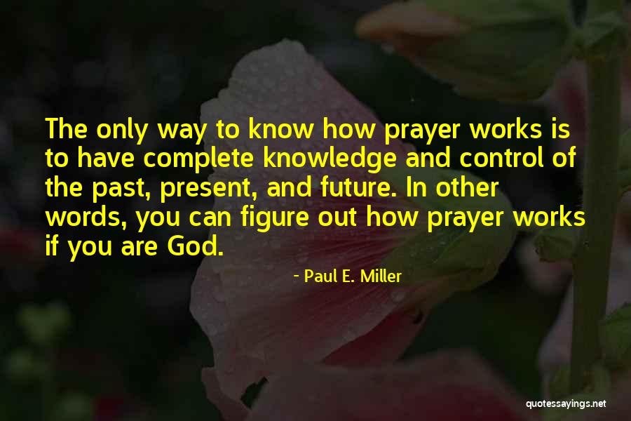 Unsticky Rice Quotes By Paul E. Miller Unsticky Rice Quotes By Paul E. Miller
