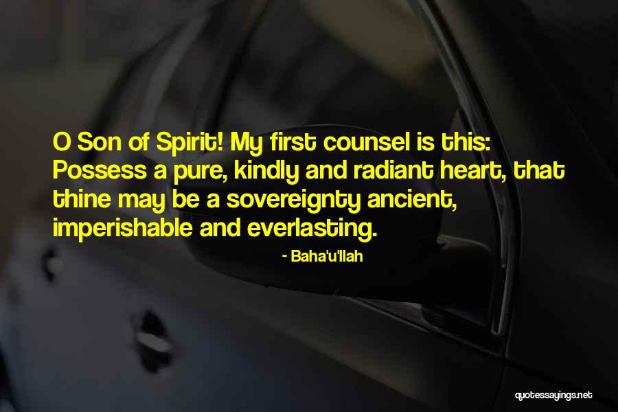 Unstinting Support Quotes By Baha'u'llah Unstinting Support Quotes By Baha'u'llah
