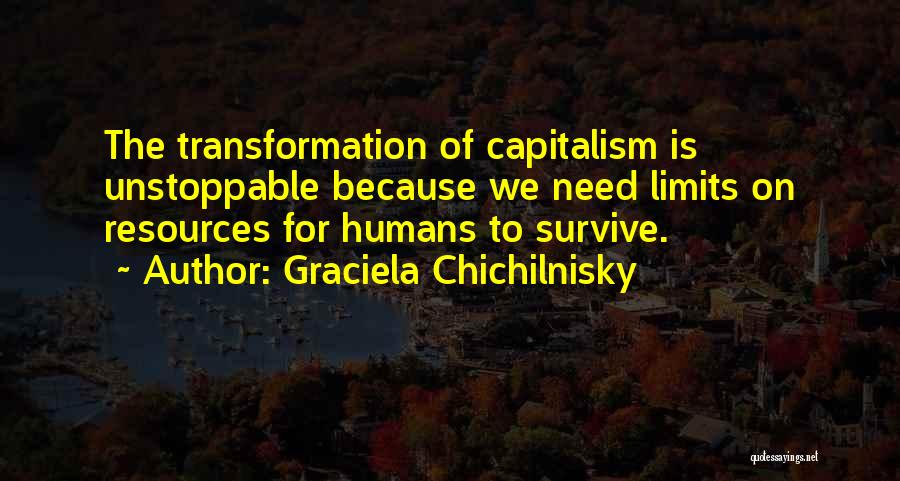 Unstoppable Quotes By Graciela Chichilnisky