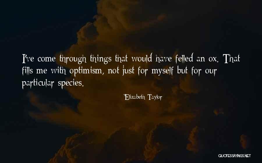 Unsureness Syn Quotes By Elizabeth Taylor Unsureness Syn Quotes By Elizabeth Taylor