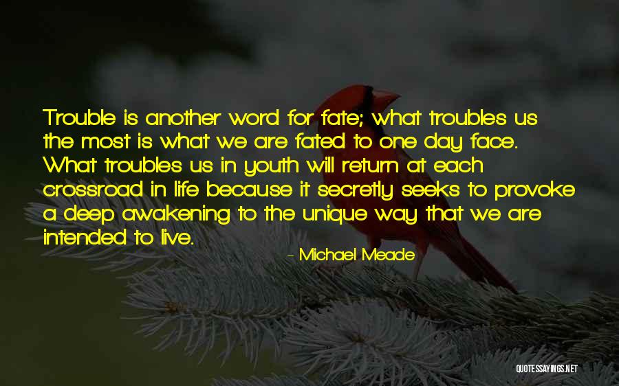 Unswerving Hidden Quotes By Michael Meade Unswerving Hidden Quotes By Michael Meade
