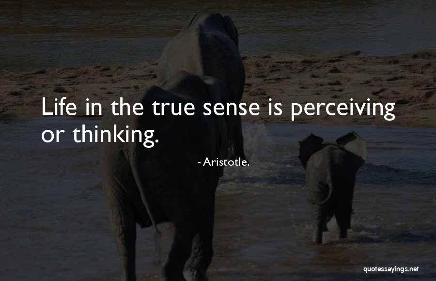 Untamableness Quotes By Aristotle. Untamableness Quotes By Aristotle.