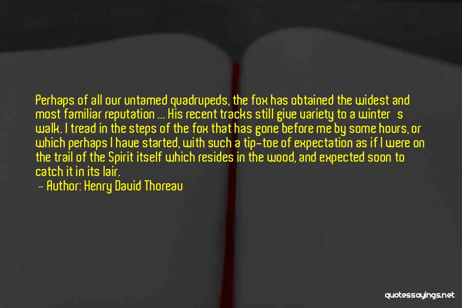 Untamed Quotes By Henry David Thoreau