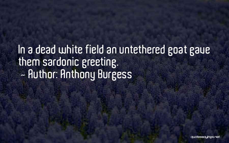 Untethered Quotes By Anthony Burgess