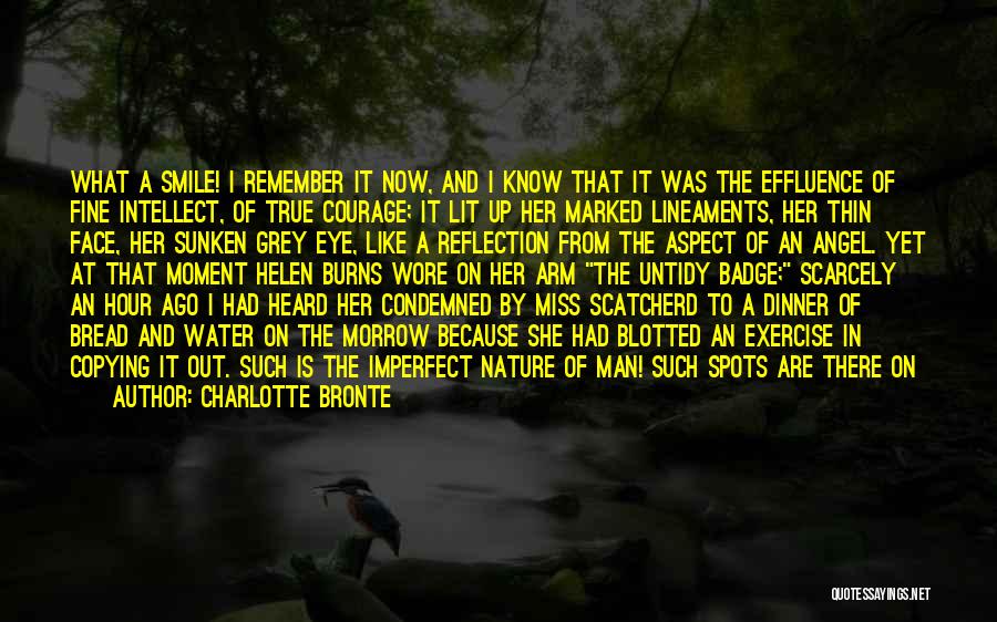 Untidy Man Quotes By Charlotte Bronte