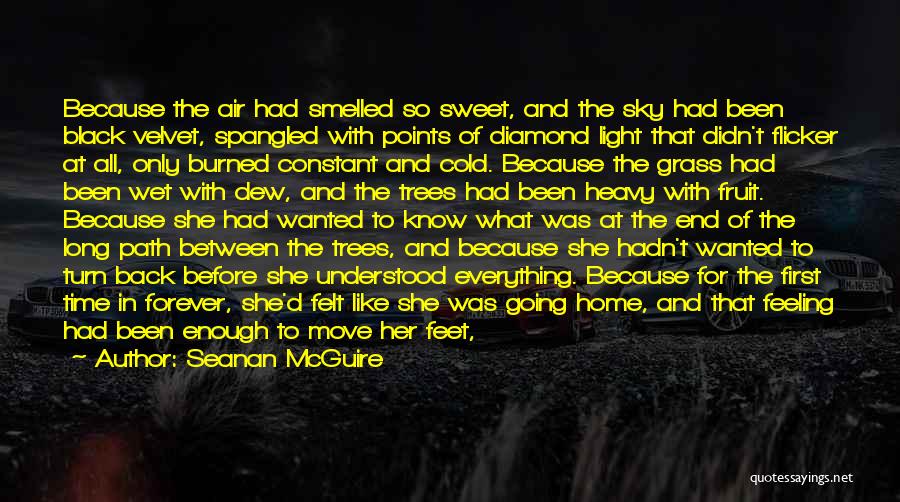 Until Forever Quotes By Seanan McGuire Until Forever Quotes By Seanan McGuire