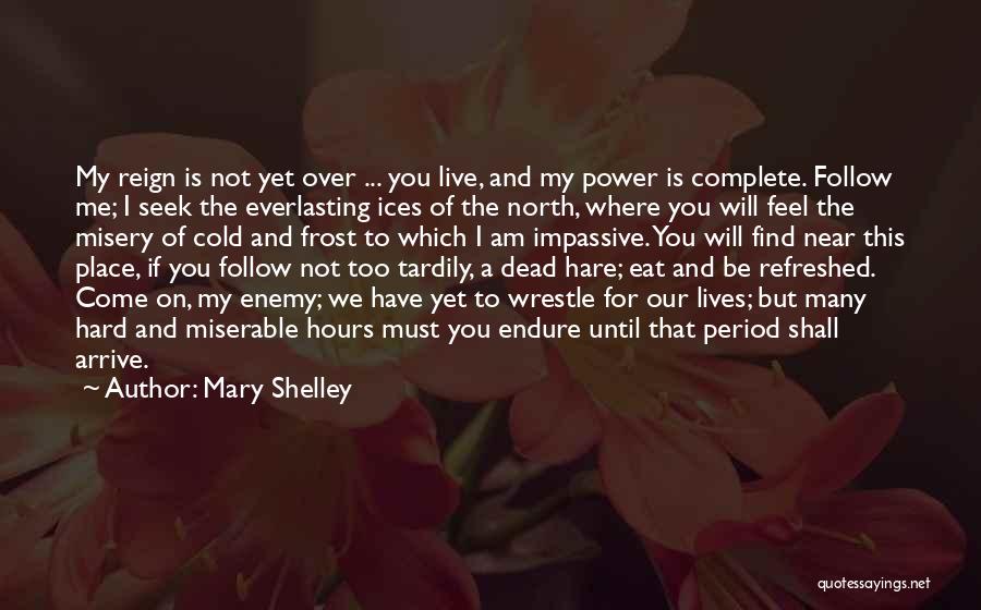 Until I Find You Quotes By Mary Shelley