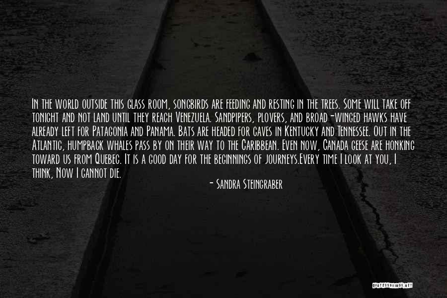 Until The Day I Die Quotes By Sandra Steingraber Until The Day I Die Quotes By Sandra Steingraber