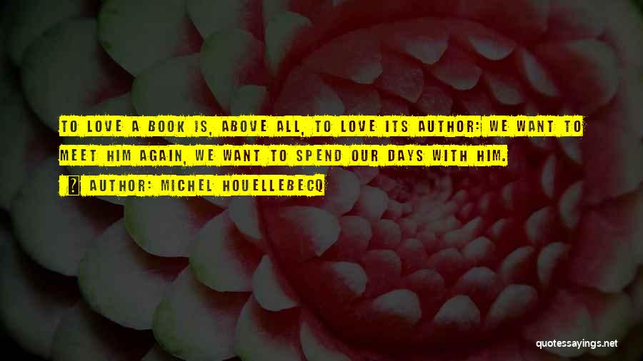 Until We Meet Again Love Quotes By Michel Houellebecq