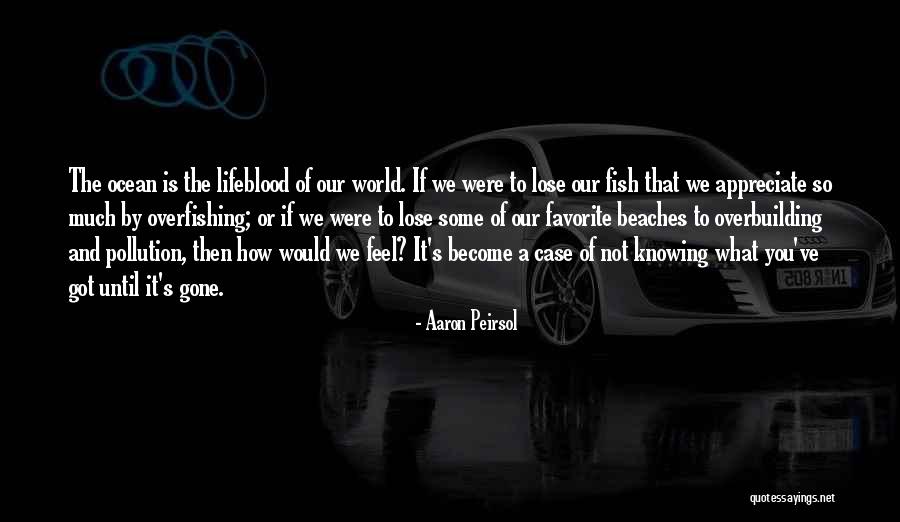Until You Lose It Quotes By Aaron Peirsol Until You Lose It Quotes By Aaron Peirsol
