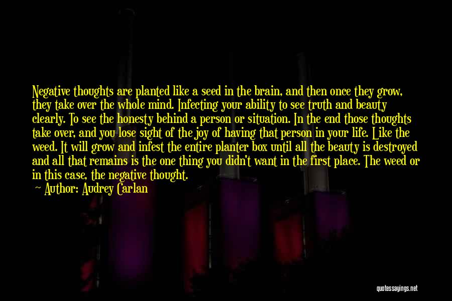 Until You Lose It Quotes By Audrey Carlan