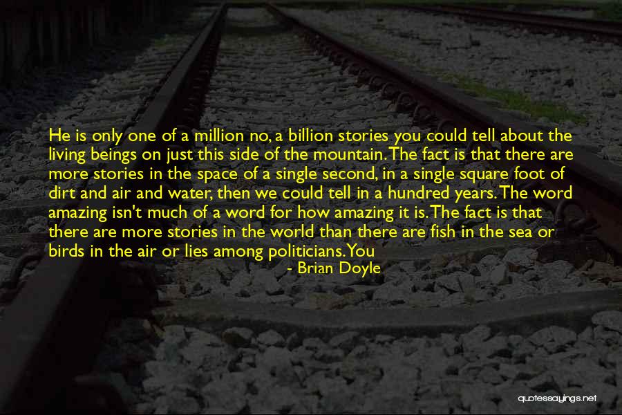 Untold Stories Quotes By Brian Doyle Untold Stories Quotes By Brian Doyle