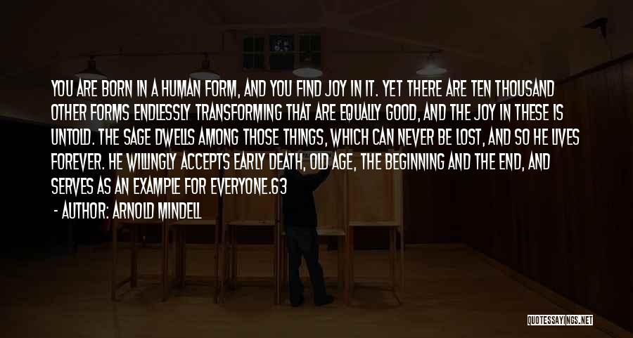 Untold Things Quotes By Arnold Mindell