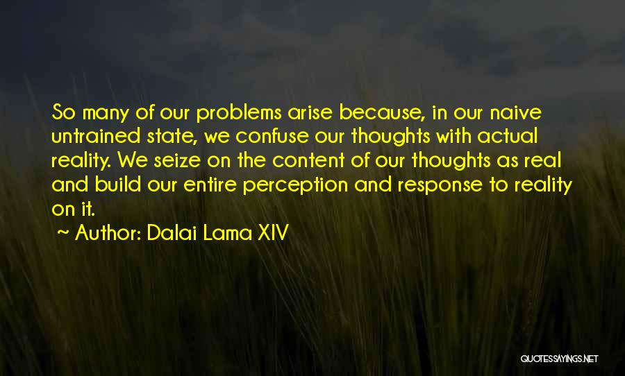 Untrained Quotes By Dalai Lama XIV
