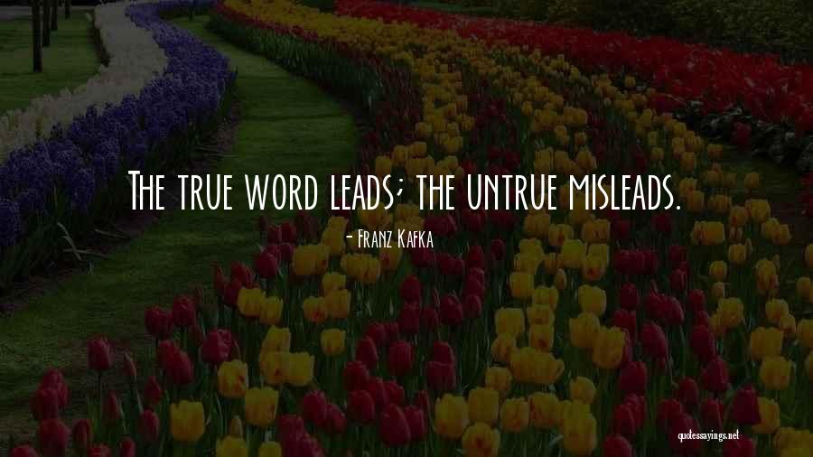 Untrue But True Quotes By Franz Kafka