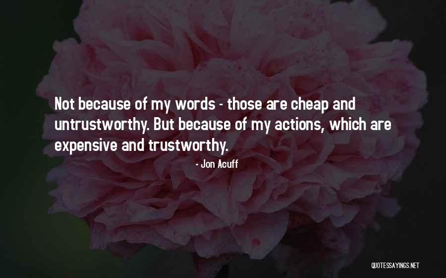 Untrustworthy Quotes By Jon Acuff