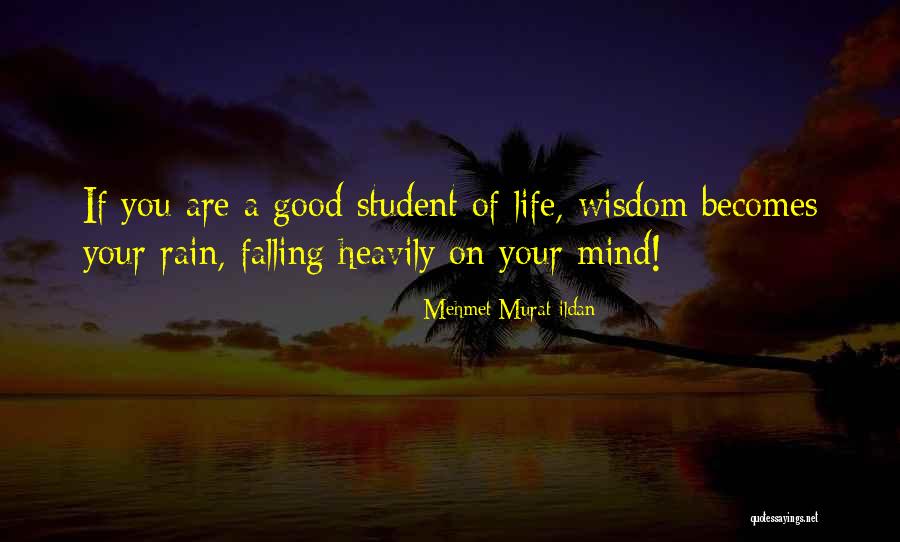 Untura Bursuc Quotes By Mehmet Murat Ildan Untura Bursuc Quotes By Mehmet Murat Ildan