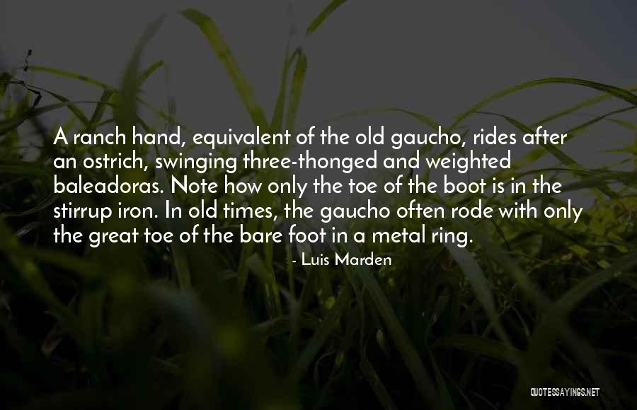 Untwisting Seatbelts Quotes By Luis Marden Untwisting Seatbelts Quotes By Luis Marden