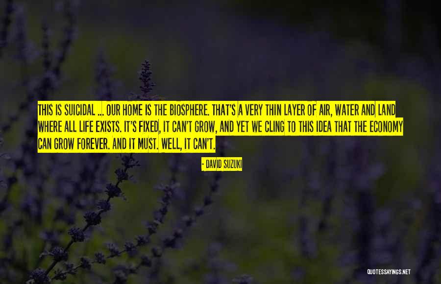 Unuk Star Quotes By David Suzuki Unuk Star Quotes By David Suzuki