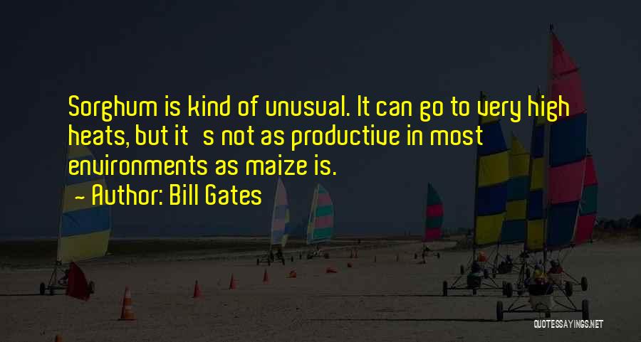 Unusual Quotes By Bill Gates