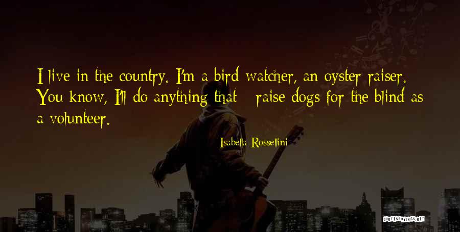 Unutterable Anguish Quotes By Isabella Rossellini Unutterable Anguish Quotes By Isabella Rossellini