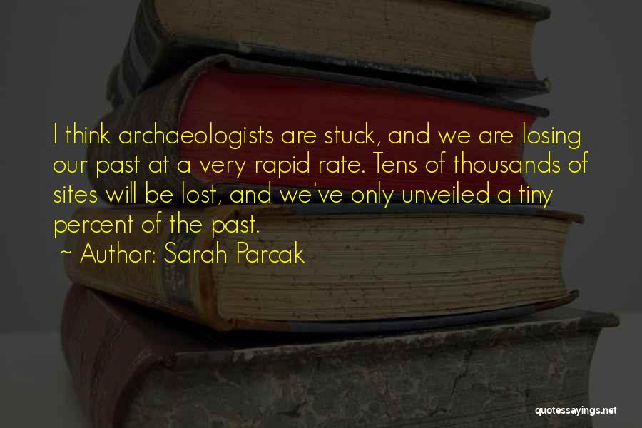 Unveiled Quotes By Sarah Parcak