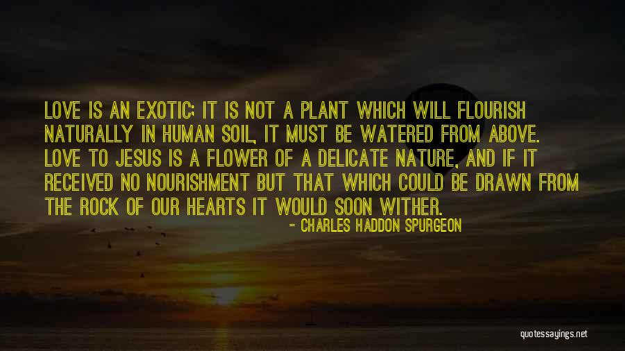 Unverhofftes Quotes By Charles Haddon Spurgeon Unverhofftes Quotes By Charles Haddon Spurgeon