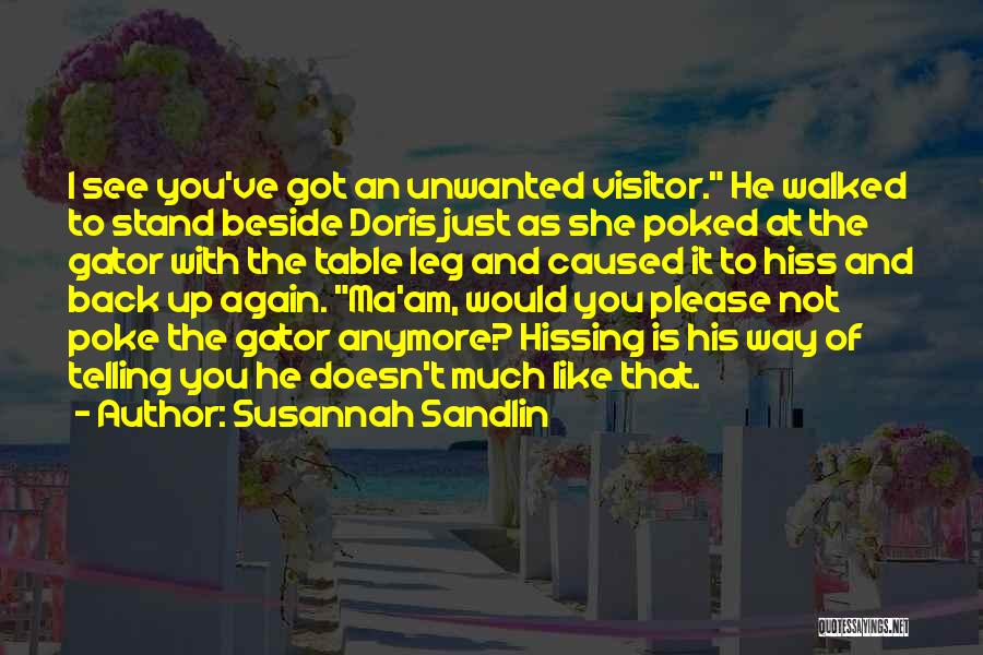 Unwanted Visitor Quotes By Susannah Sandlin