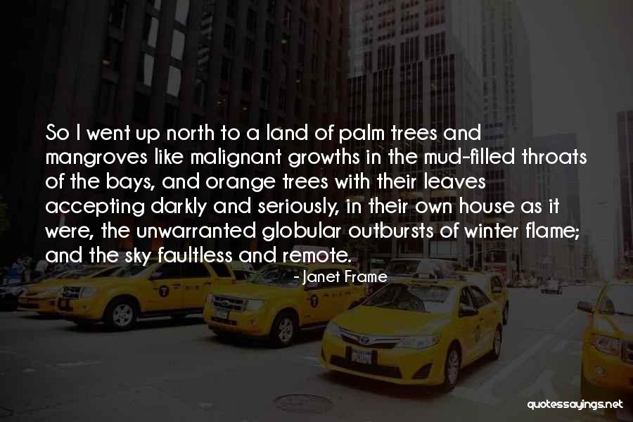 Unwarranted Quotes By Janet Frame Unwarranted Quotes By Janet Frame