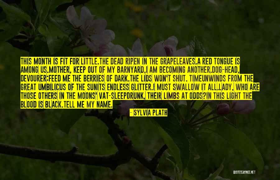 Unwinds Quotes By Sylvia Plath Unwinds Quotes By Sylvia Plath