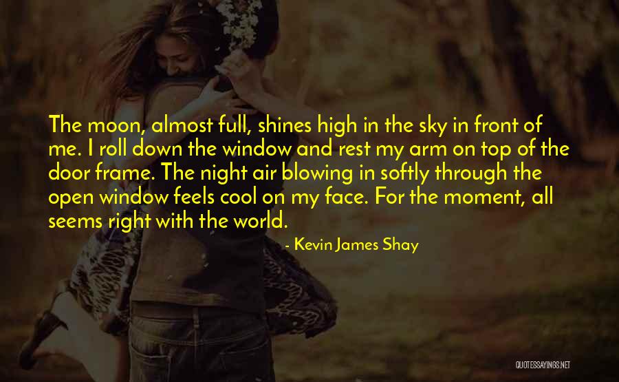 Unworried Book Quotes By Kevin James Shay Unworried Book Quotes By Kevin James Shay