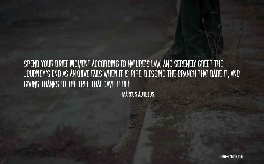Unwritten Fate Quotes By Marcus Aurelius Unwritten Fate Quotes By Marcus Aurelius
