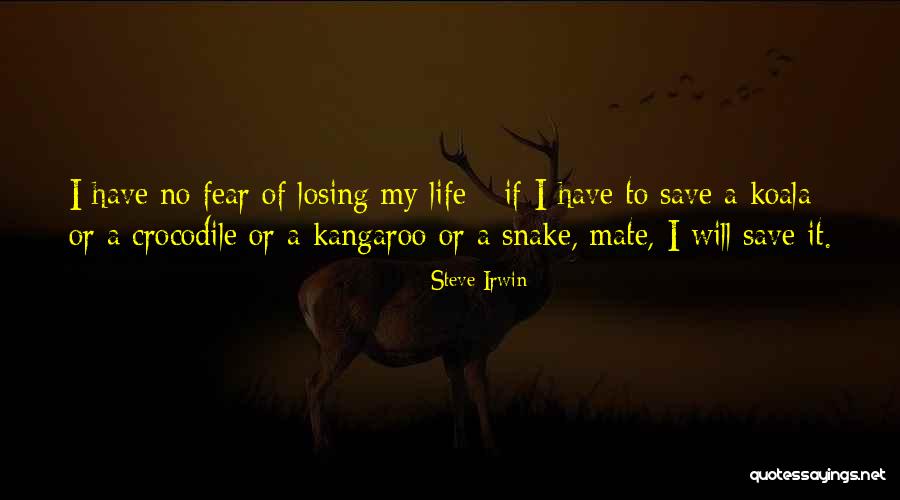 Uomax Quotes By Steve Irwin Uomax Quotes By Steve Irwin