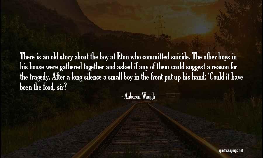 Up And About Quotes By Auberon Waugh