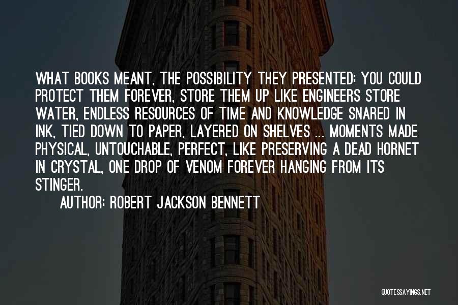 Up And Down Moments Quotes By Robert Jackson Bennett