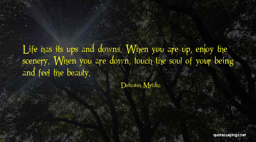 Up And Downs Of Life Quotes By Debasish Mridha