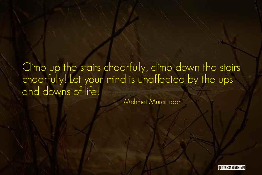 Up And Downs Of Life Quotes By Mehmet Murat Ildan